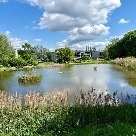 Апартаменты Dolna